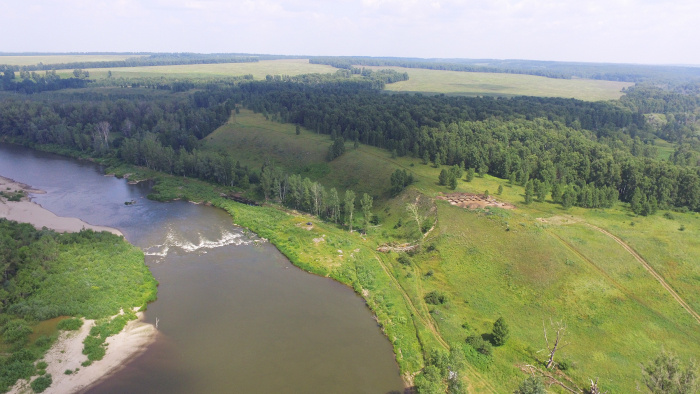     Общий вид с воздуха на мыс над рекой Чумыш, где расположен археологический памятник Чумыш-Перекат. Источник: информационный центр НОЦ алтаистики и тюркологии «Большой Алтай».