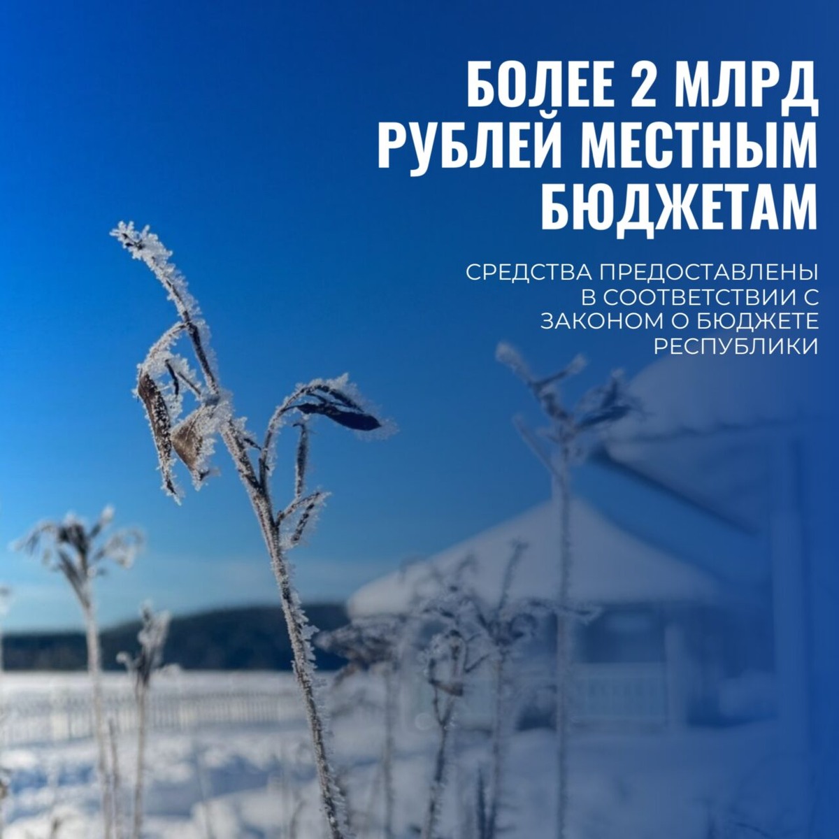    Фото: Минфин Карелии / ВК