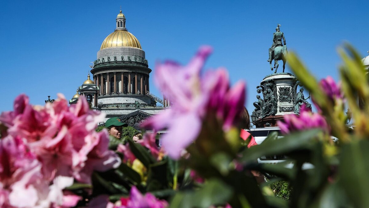Фото: vk.com/kb_spb