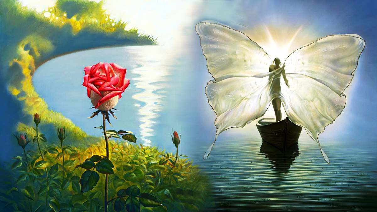 Источник изображения : zelengarden.ru и emosurf.com и Яндекс картинка. 