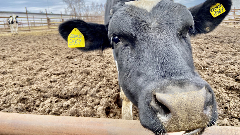    Фото правительства Кировской области
