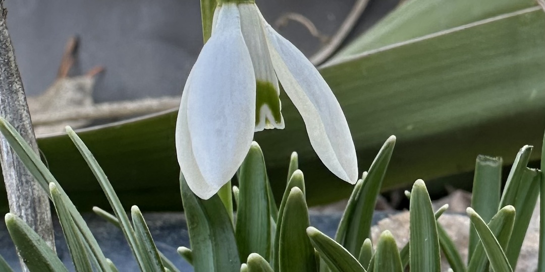 Начинаем новую неделю!
