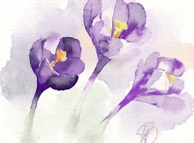 Одна из струн души, память