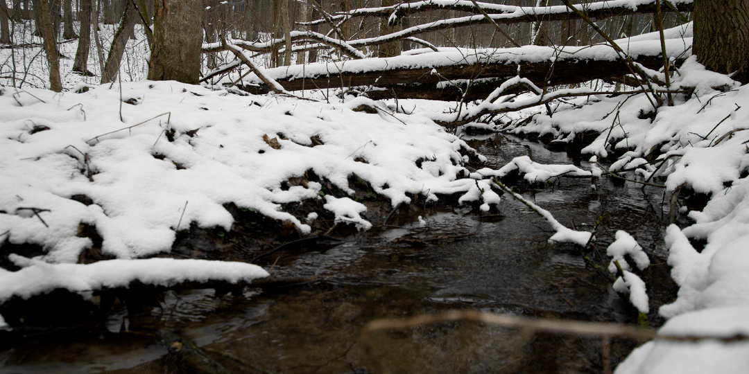Как климатический кризис влияет на приход весны