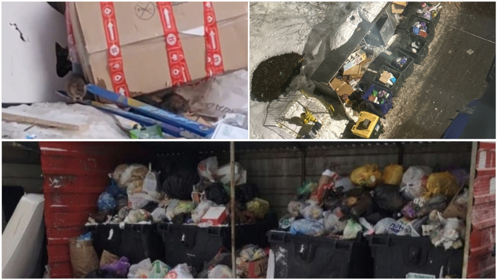  Ижевчане жалуются на переполненные мусорные контейнеры с начала года. Фото: Злой Ижевчанин