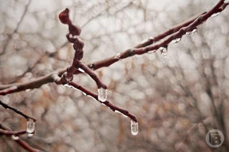    Фото: "Городские вести"