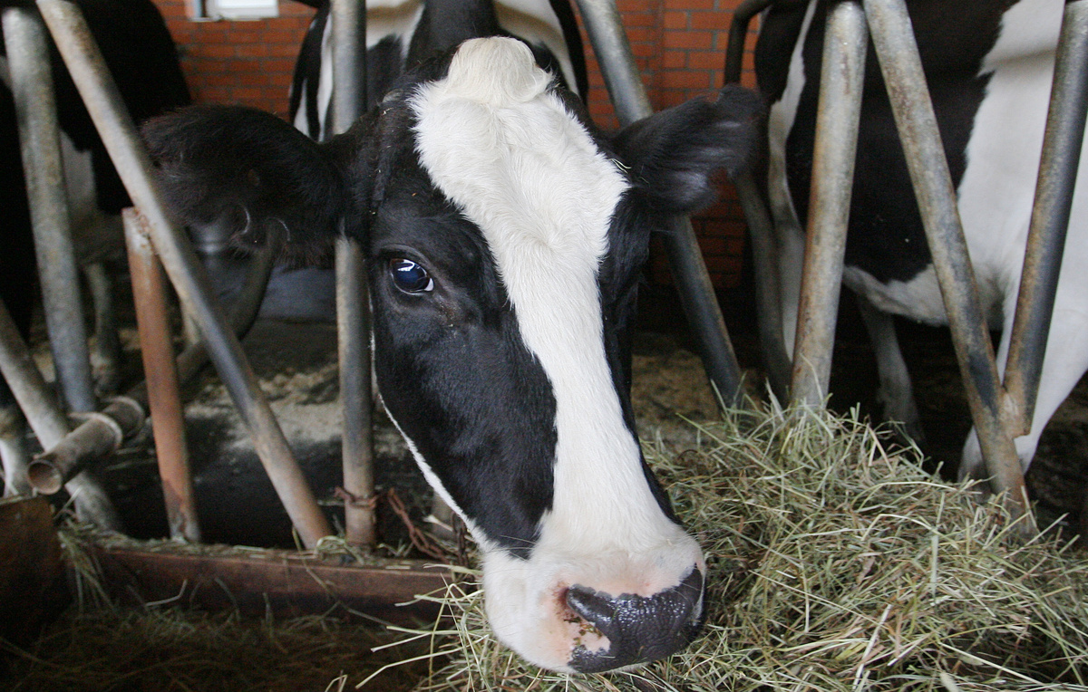 Александра Мудрац/ ТАСС