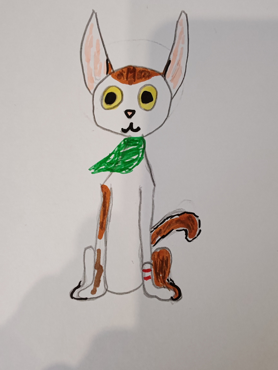 Носок только один