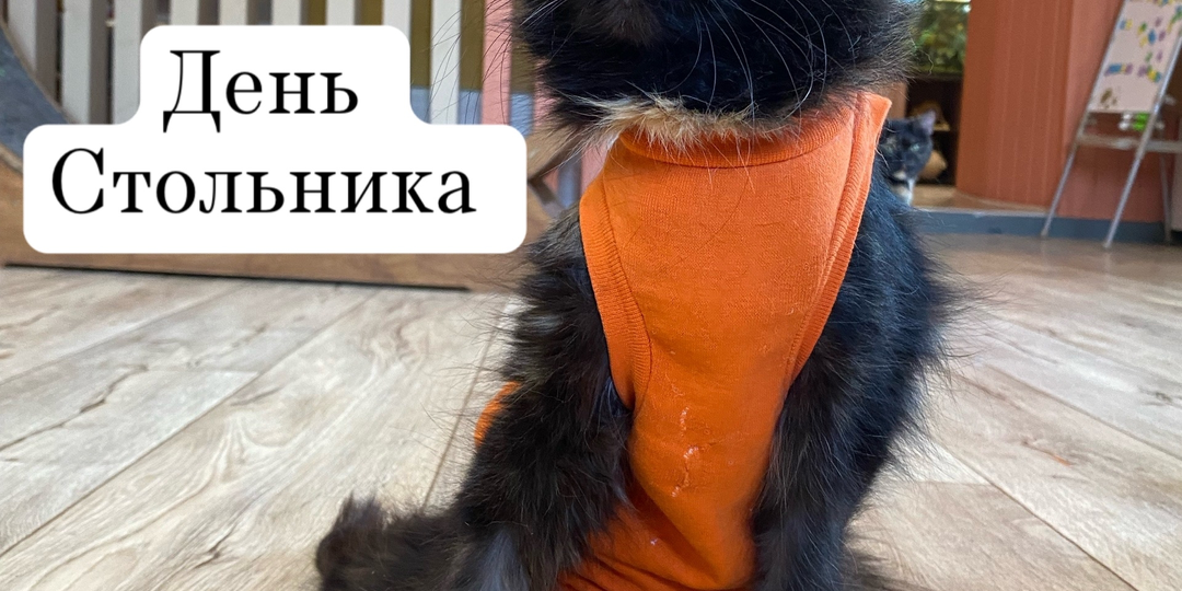 ✅ Сегодня в нашей группе - День стольника! 💸