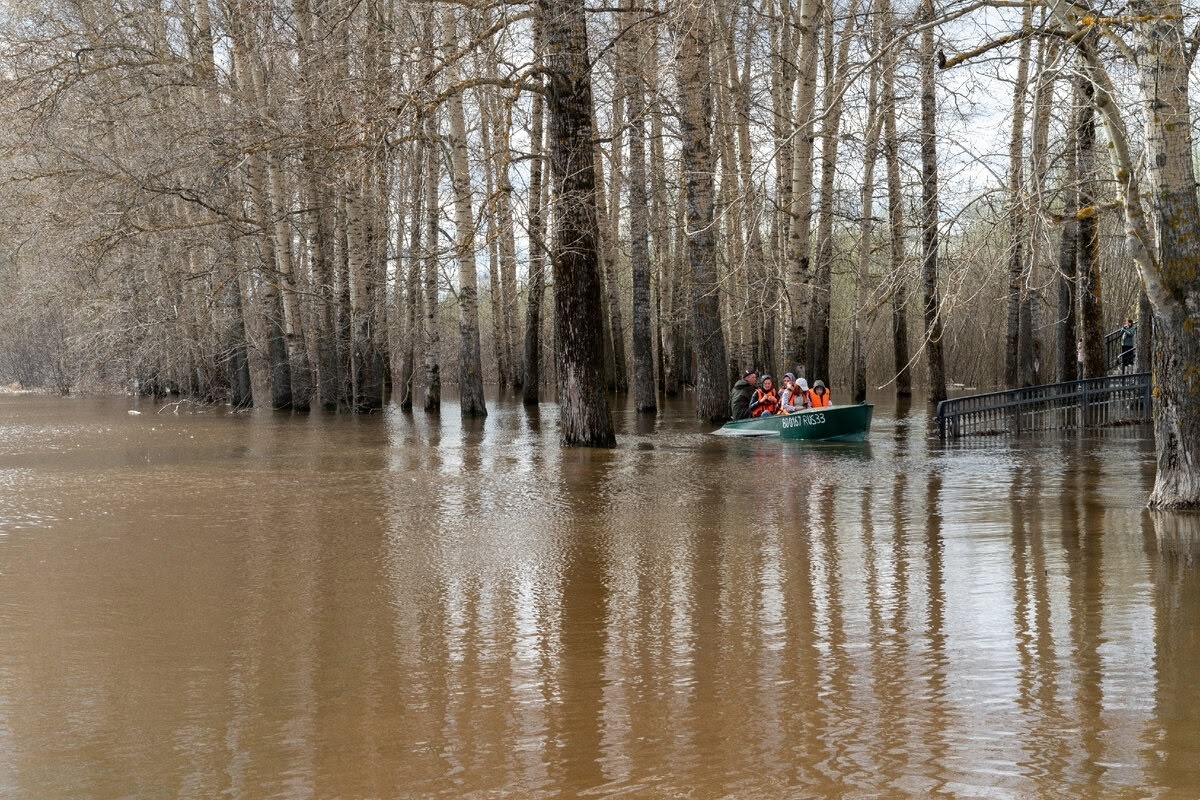 Возле Боголюбова. Местные отвозят туристов к Храму Покрова на Нерли