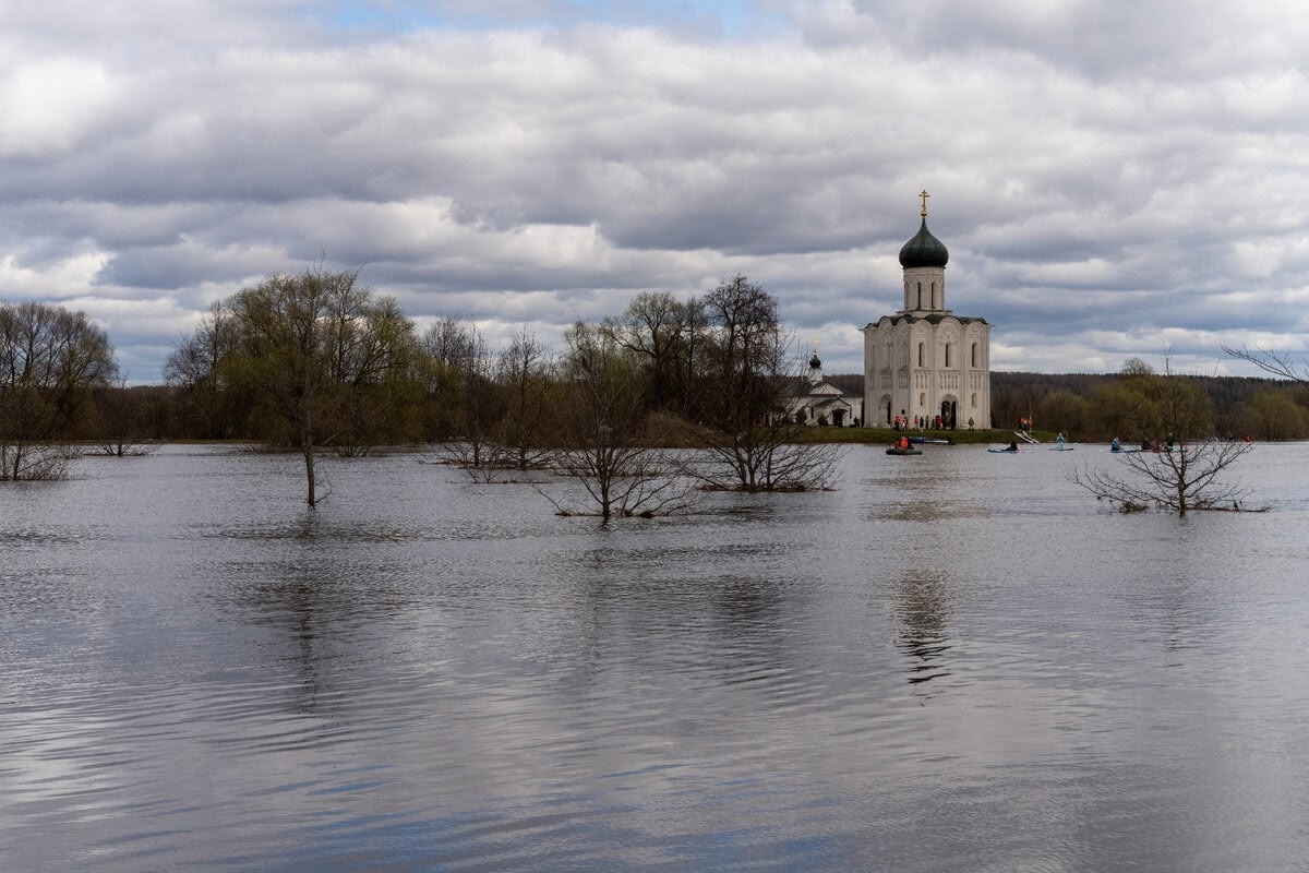 Самая очевидная точка для наблюдения за половодьем - Храм Покрова на Нерли находится в бассейне Оки, а значит половодье там обещает быть мощным 