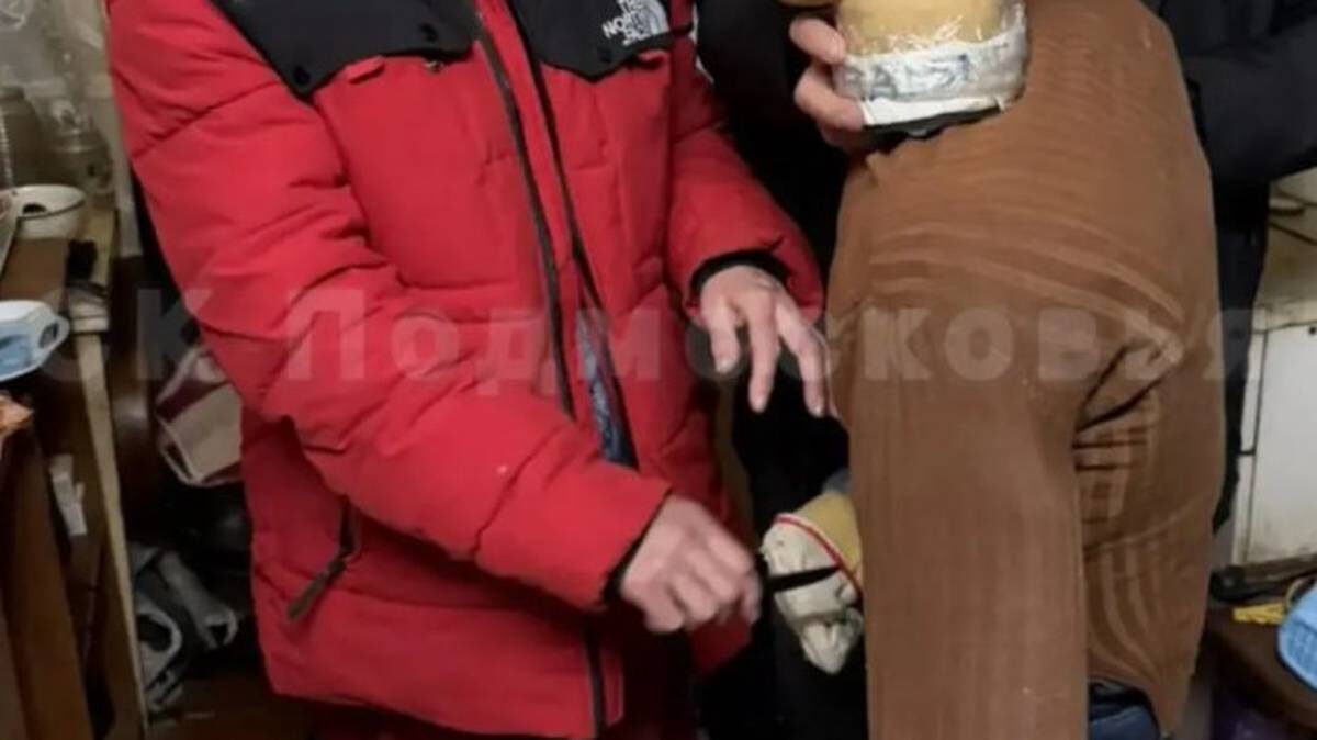    Фото: СК Подмосковья / Telegram