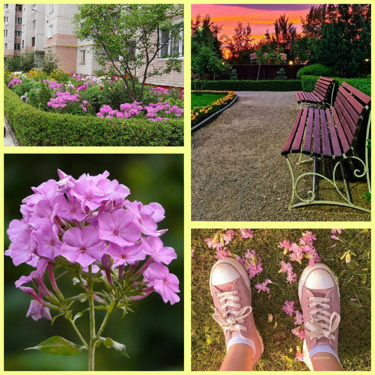 Источник фото: Яндекс Картинки