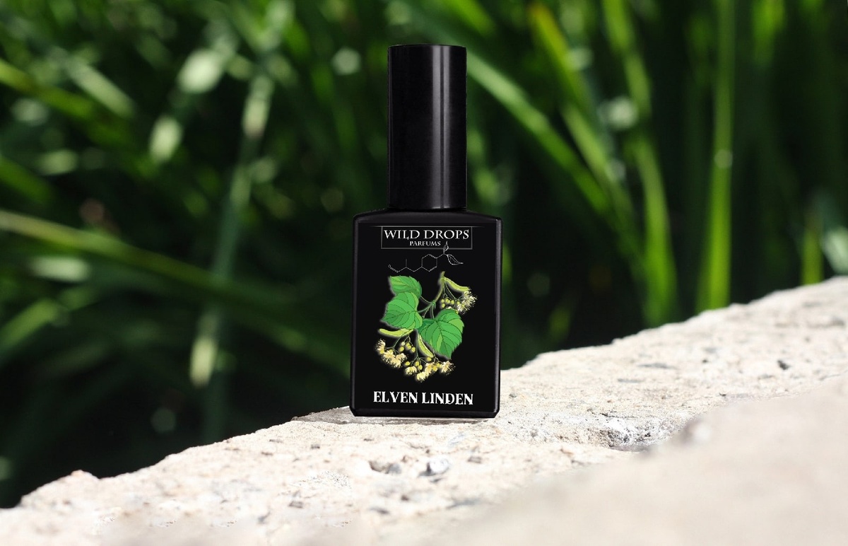 Источник фото: Яндекс Картинки