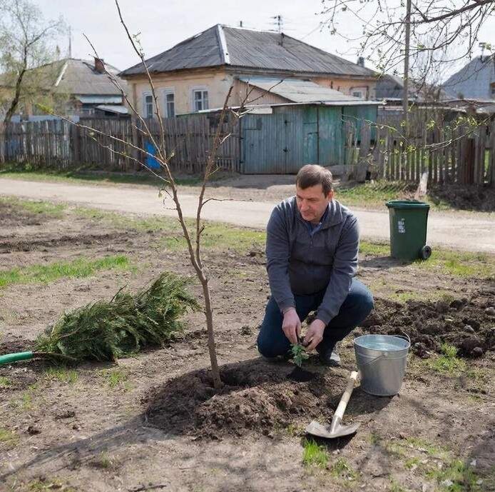    Фото сгенерировано нейросетью
