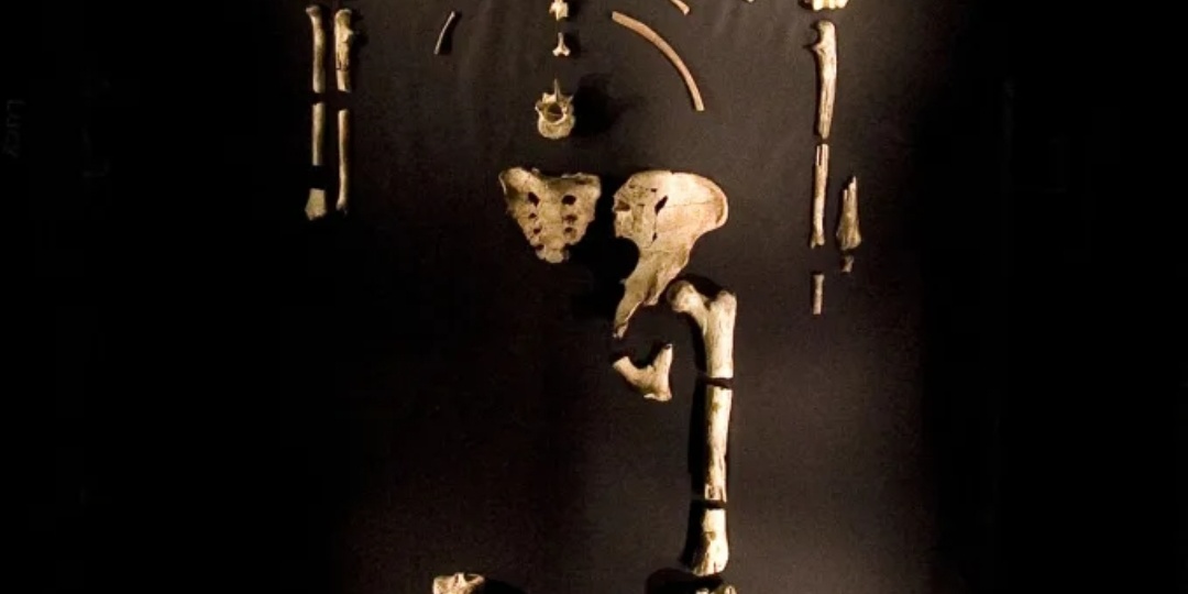 Лицо из прошлого: как учёные встретились с женщиной, жившей 3,67 миллиона лет назад