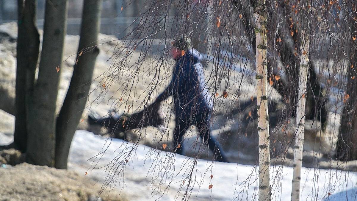    Фото: Сергей Киселев / АГН Москва
