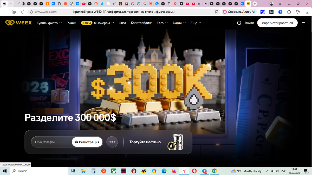 Источник - личные фото автора блога Р.И. Захаркина, снятые на свой телефон