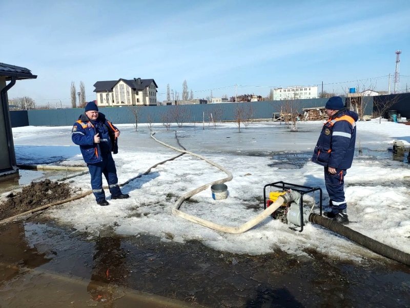     © фото - АСС Курской области