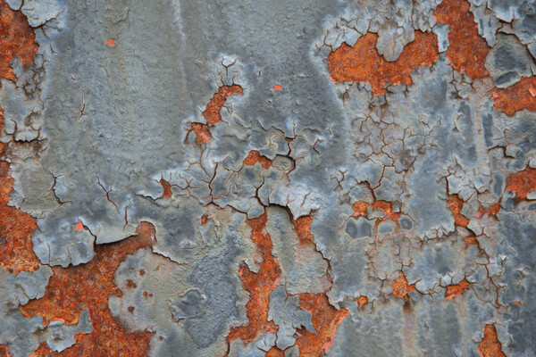 Sin Dinero/Shutterstock/FOTODOM   📷