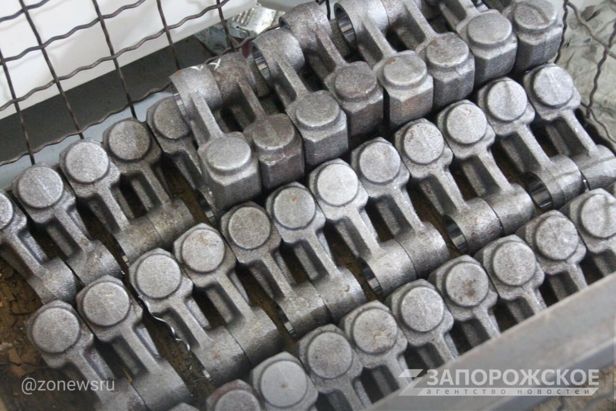    Фото: Запорожское агентство новостей