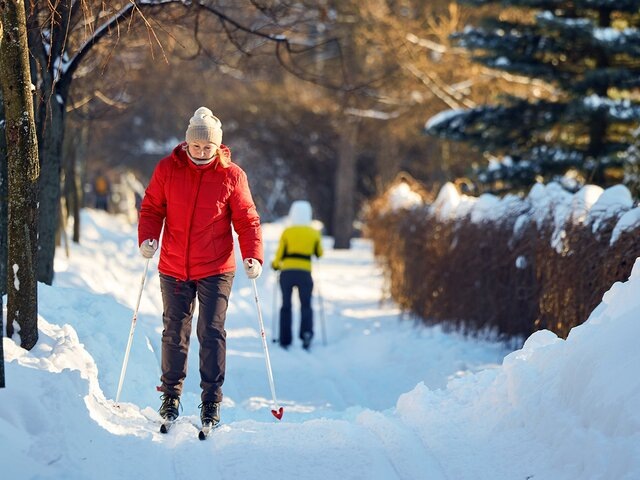    Фото: портал мэра и правительства Москвы/Максим Денисов
