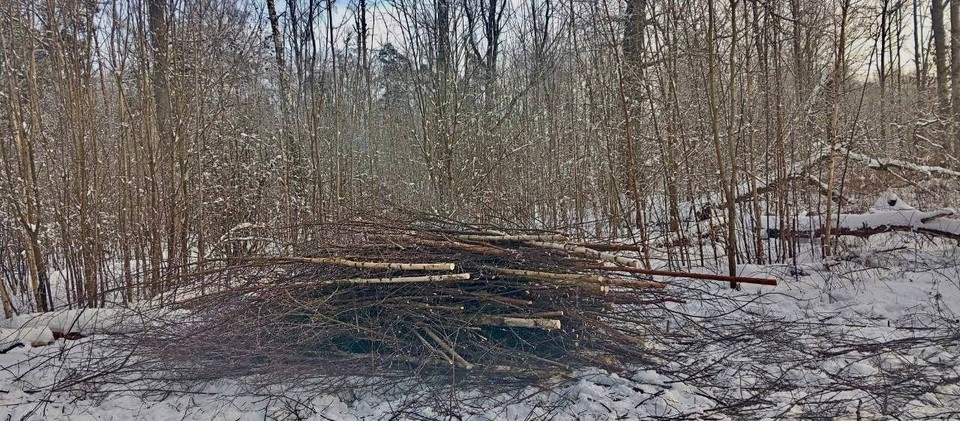    Фото: минприроды региона.
