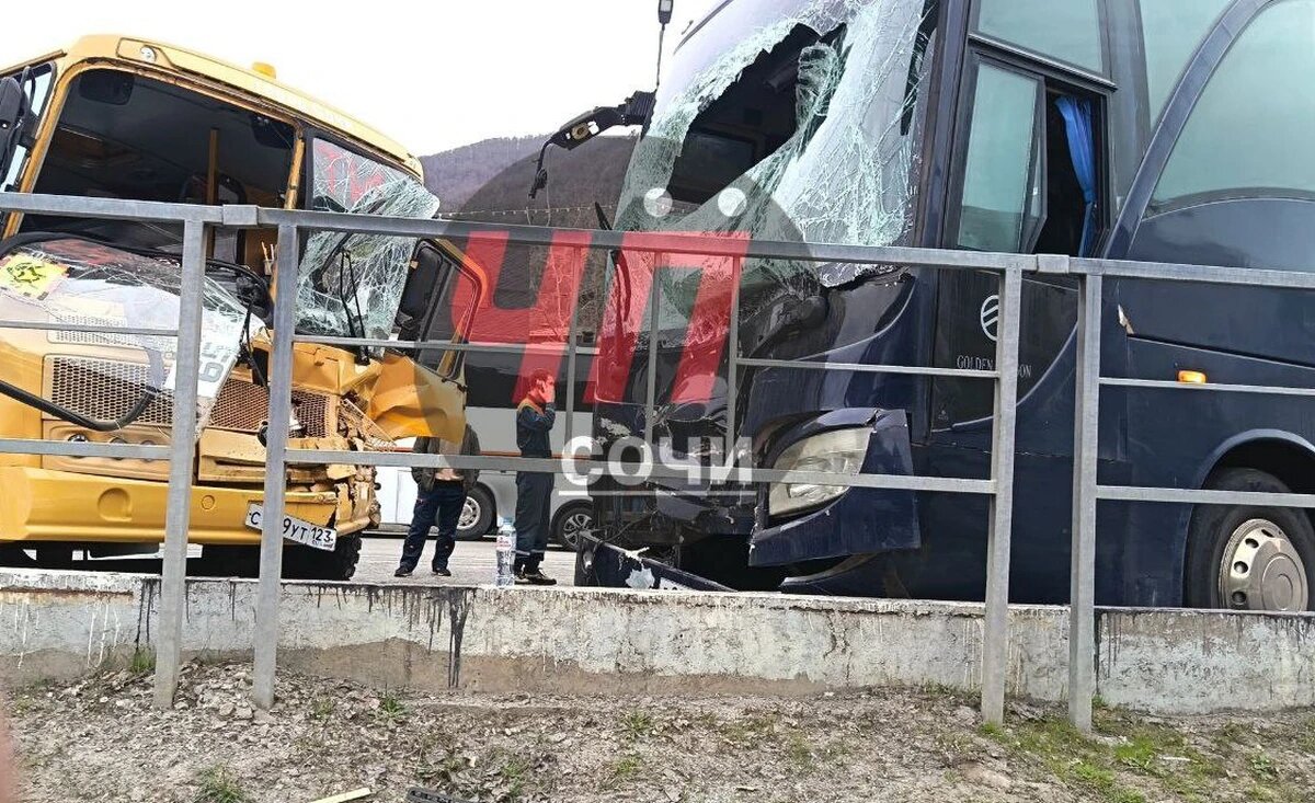    Фото t.me/chepsochi