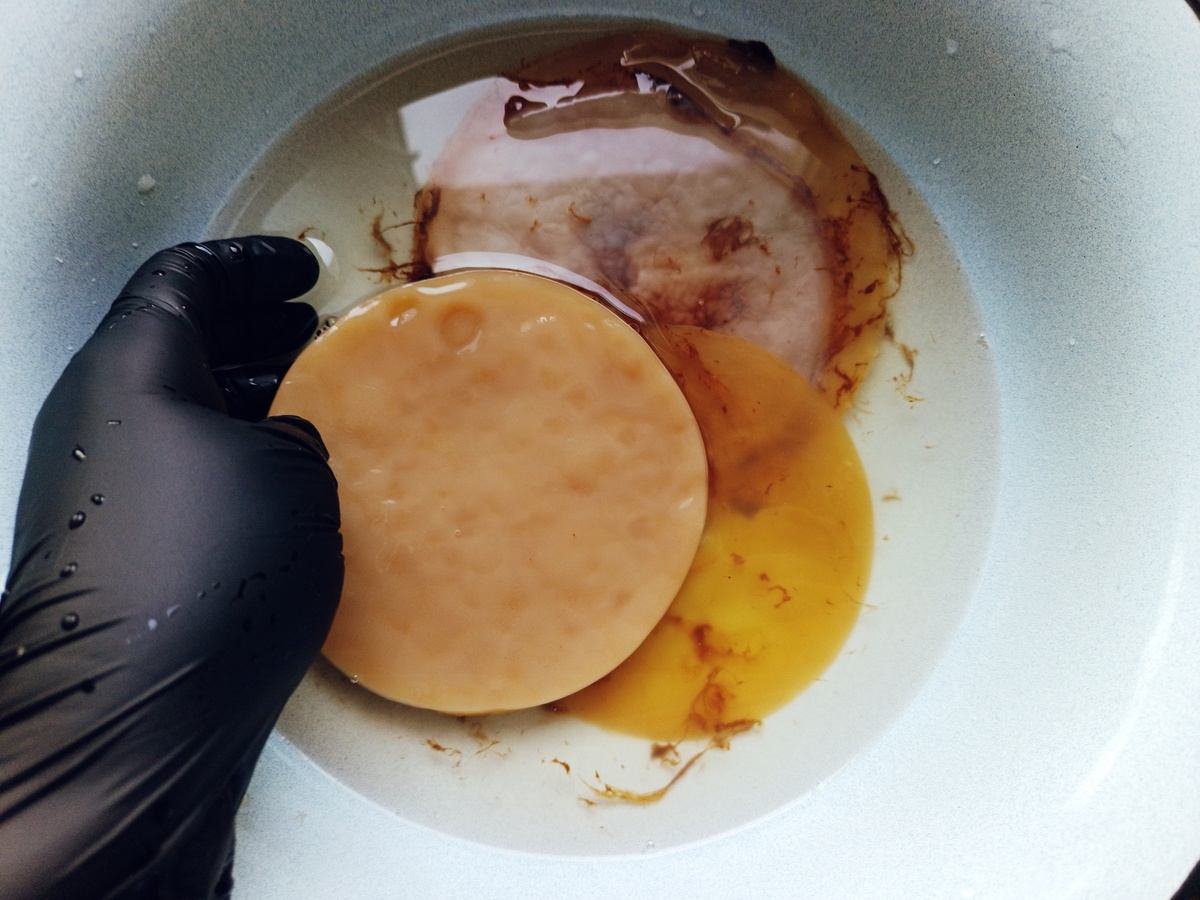 Генеральная уборка: разделённые "детки" принимают водные процедуры перед заселением в новые банки. Купаем их аккуратно, но тщательно