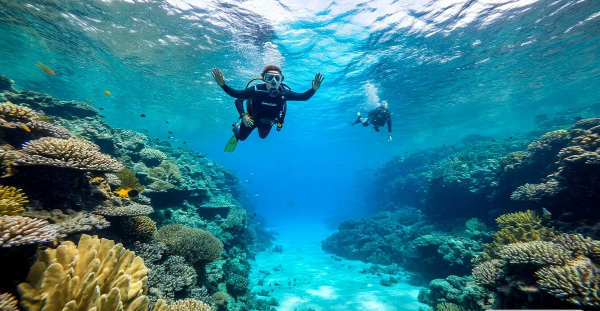 Где лучший дайвинг или снорклинг