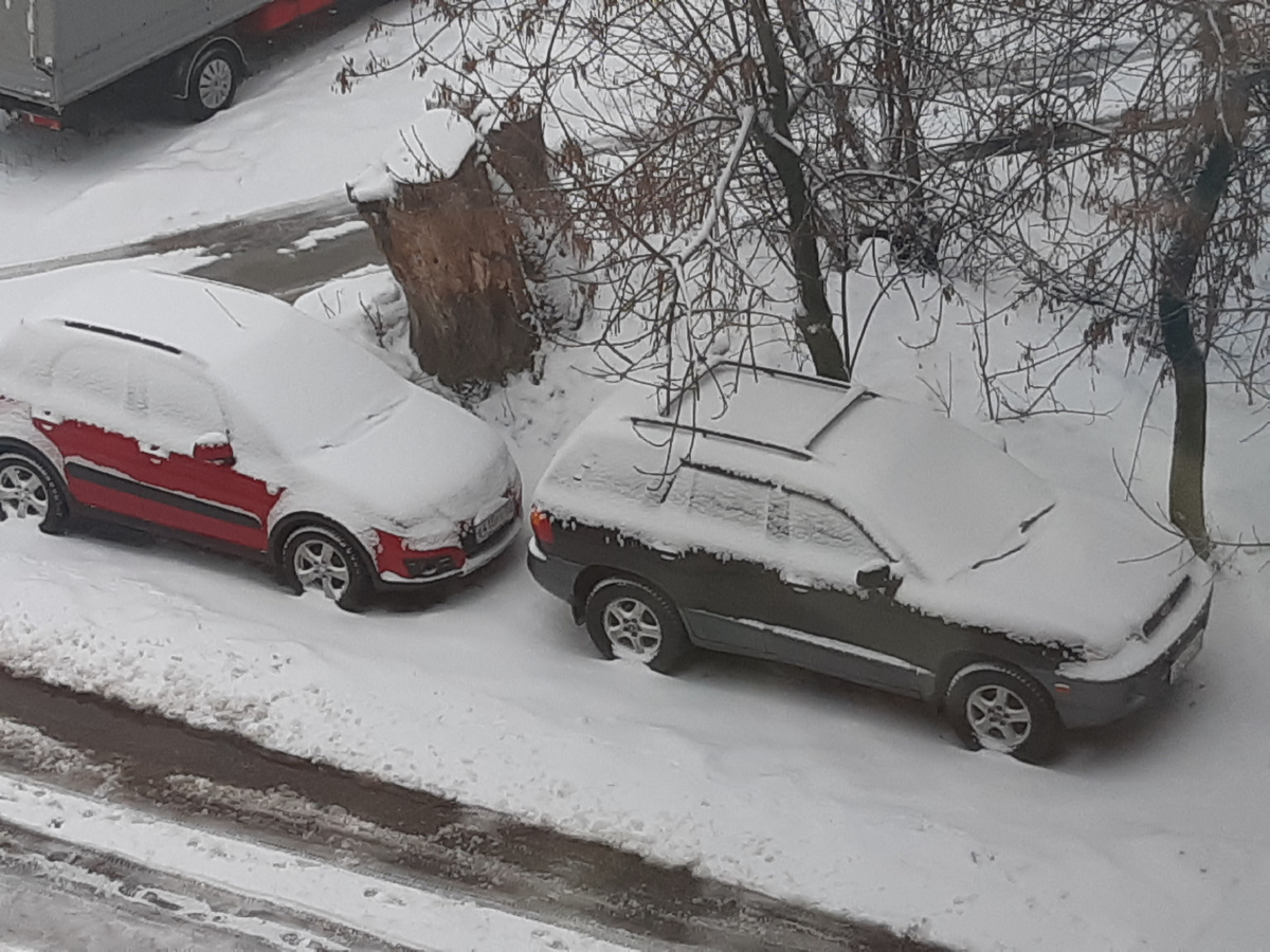 Впереди суслика хомяк- хундай Санта фе 