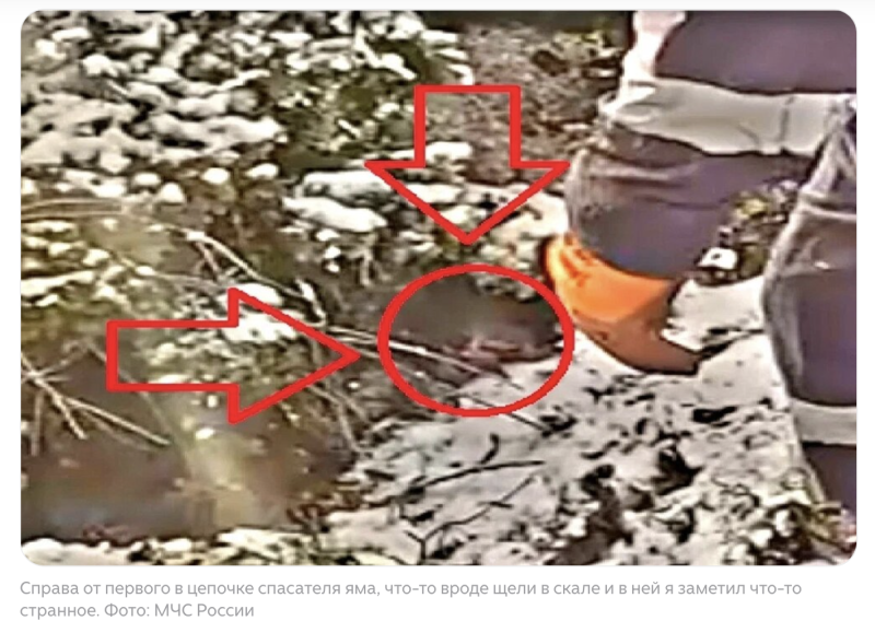    Скриншот из Дзен-канала АИФ