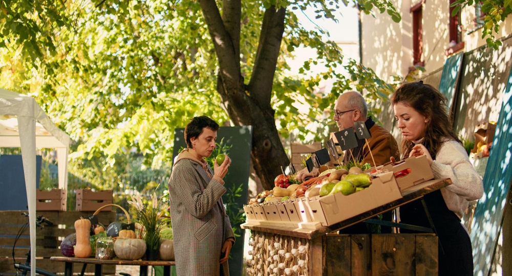 Большой отсев-2: единая матрица для НТО Подмосковья