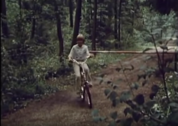 crimesandconsequences.com