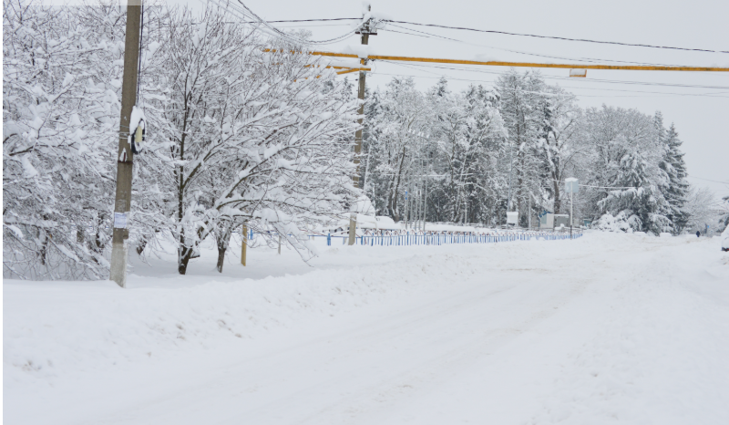 Фото автора. Январь 2026. Станица. Закружило, замело.