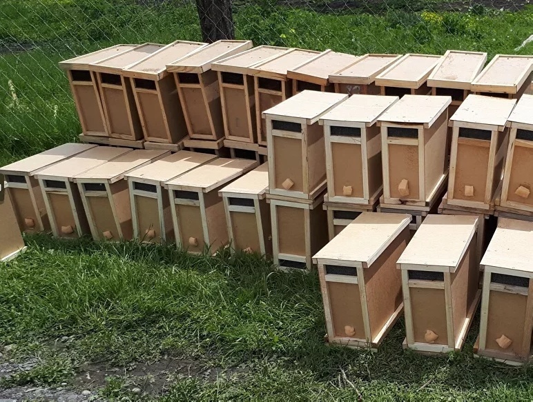 Приобретение пчёл