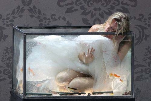 Картинка из интернета 