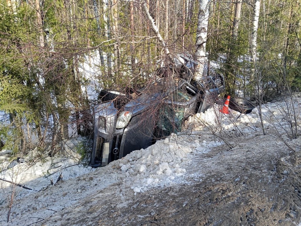    Фото: Госавтоинспекция Коми
