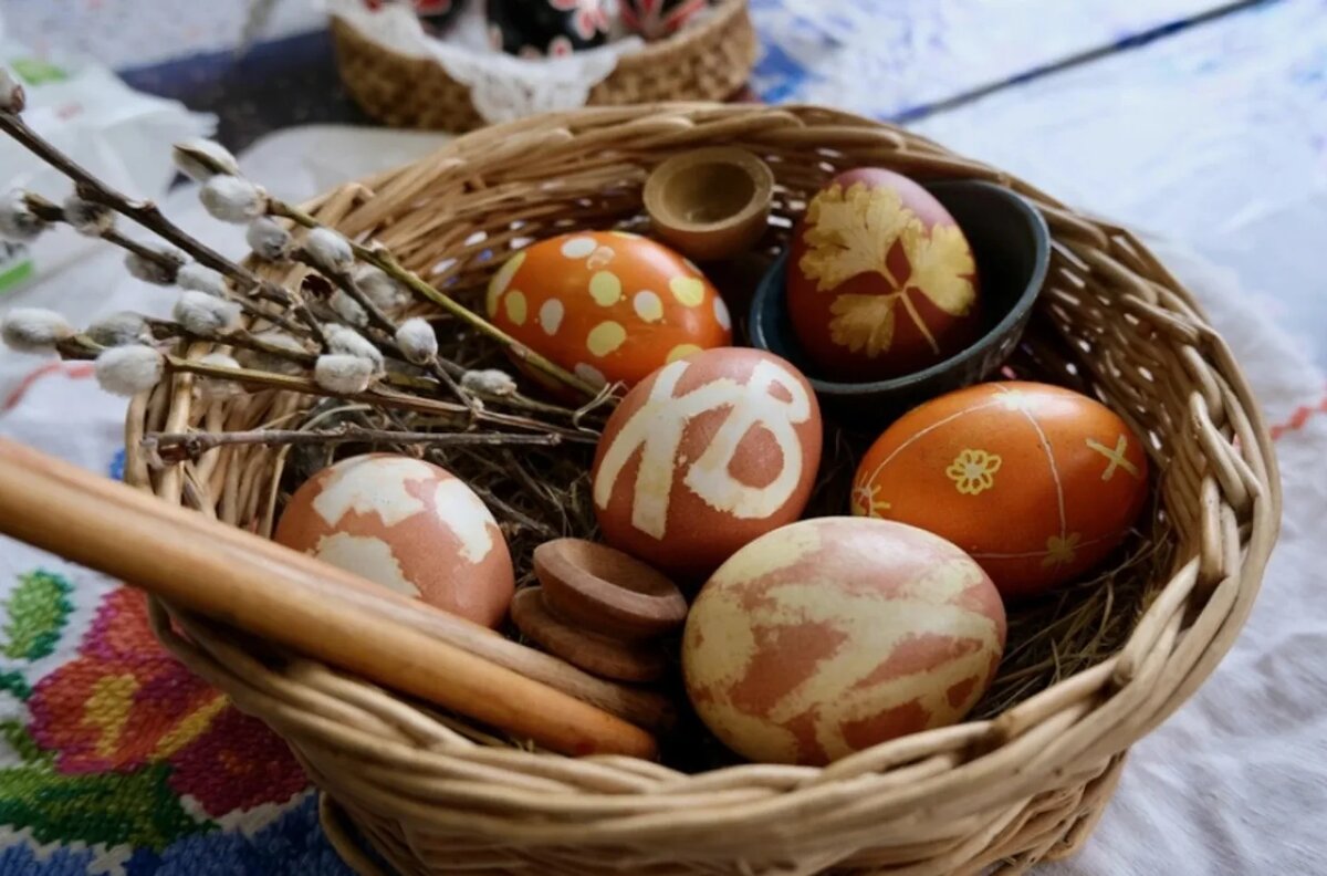 фото взято из открытых источников