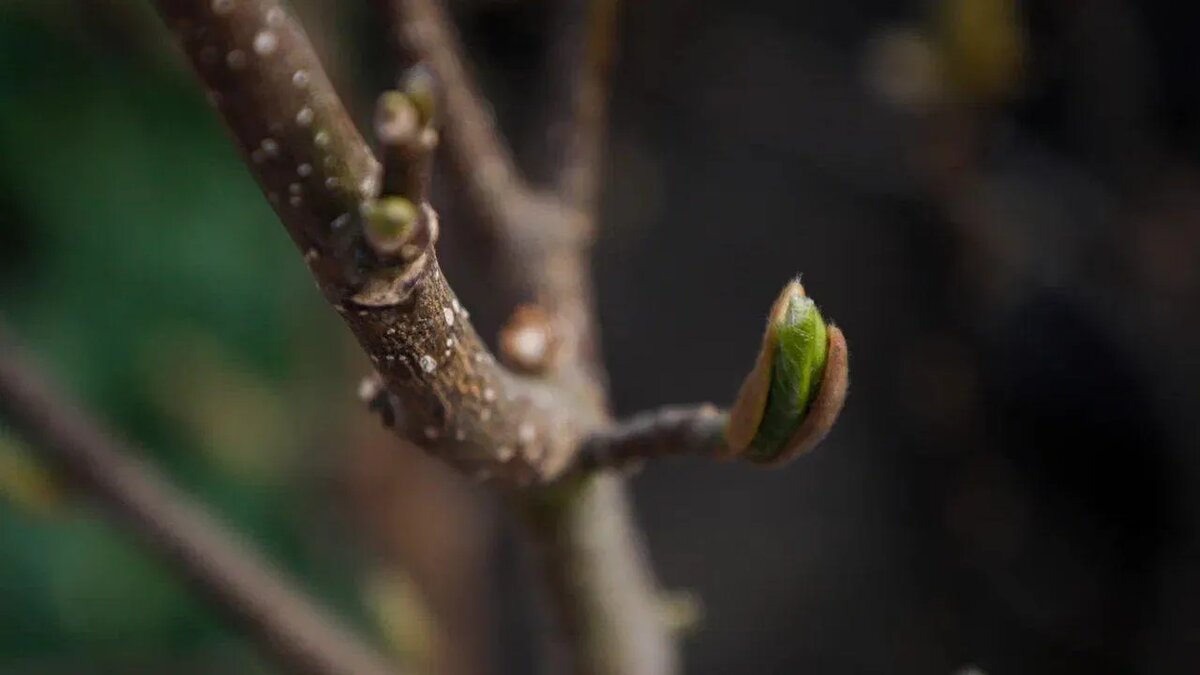 / Фото: REGIONS/Наталья Надточая