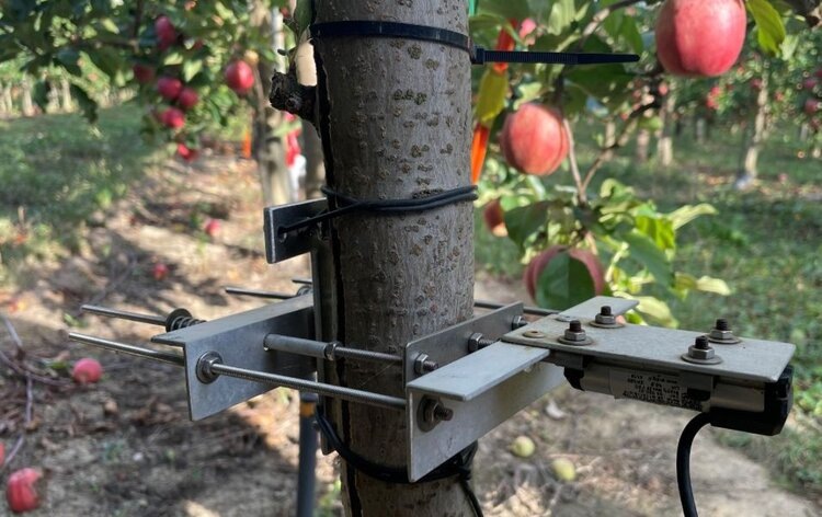    Фото: © Agroscope