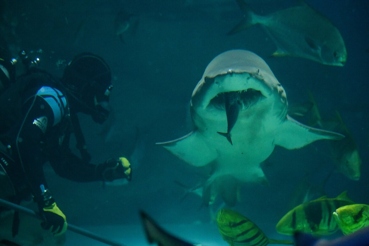 Фото: Москва 24/Антон Великжанин