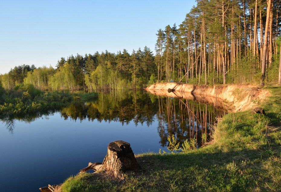    Shutterstock/FOTODOM