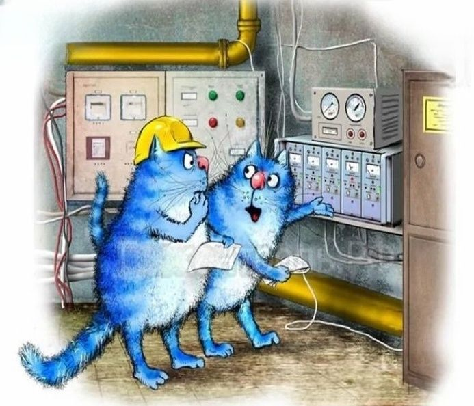 очаровательные коты Рины Зенюк