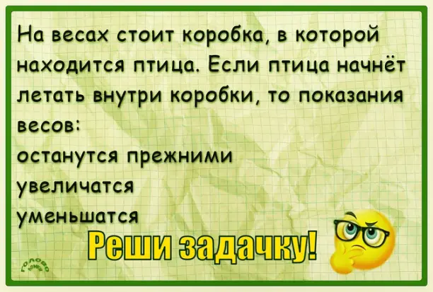 🦜⚖️ Загадка про птицу на весах: что произойдёт с показаниями?