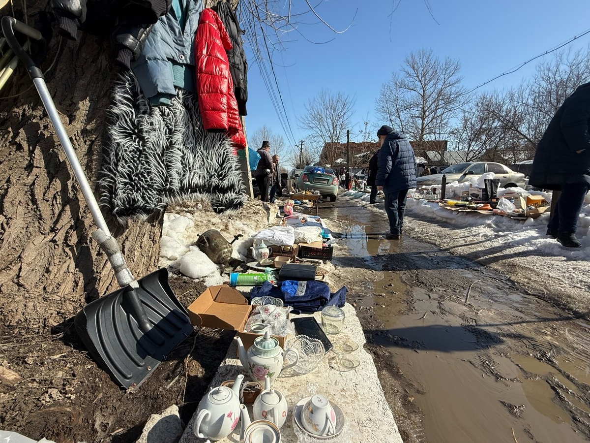 Фото: Тульская служба новостей