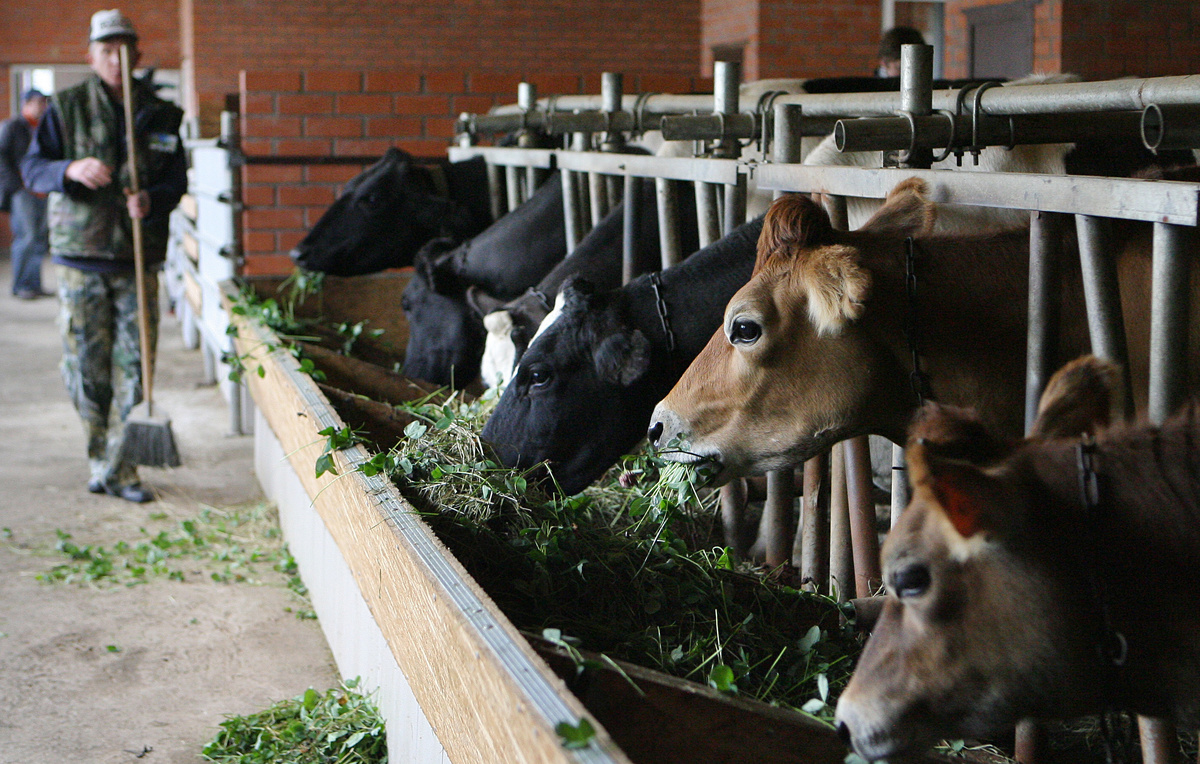 Александра Мудрац/ ТАСС