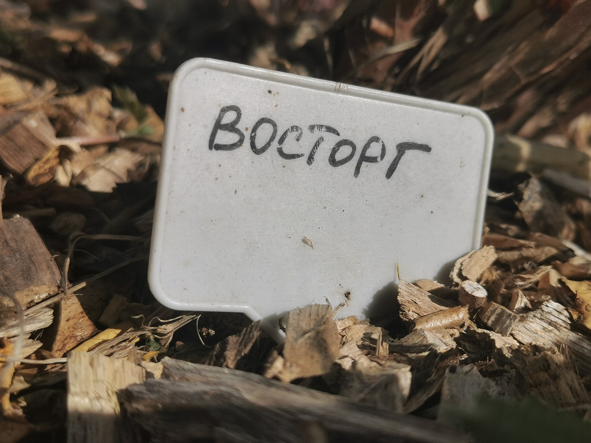 Тут кажется использовала Edding, но это не точно