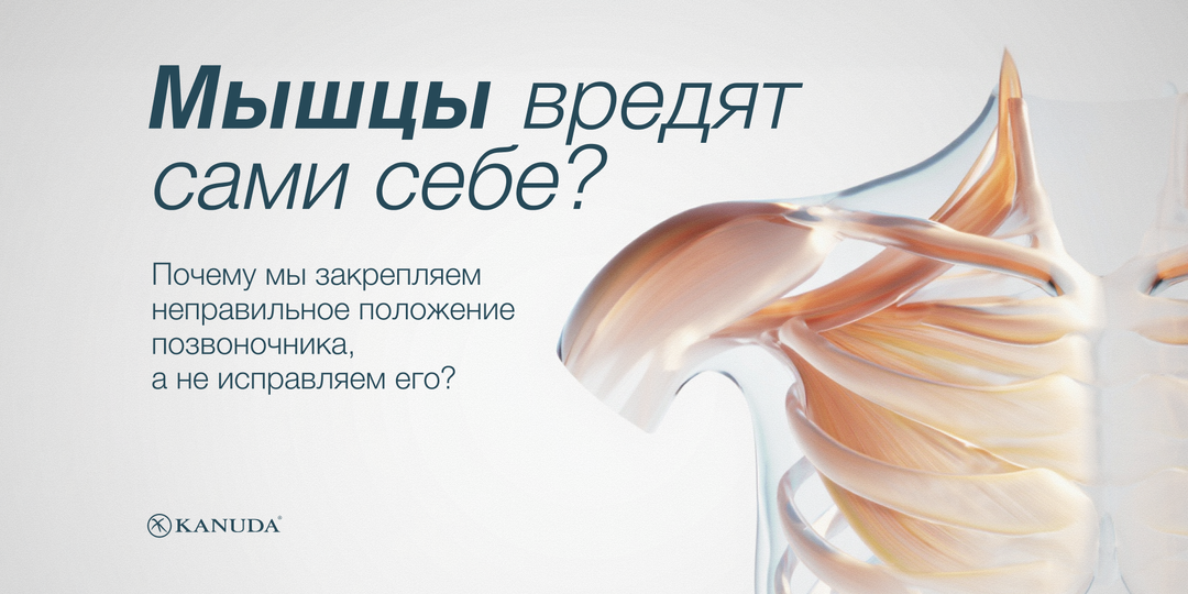 Почему тело запоминает сутулость, а правильную осанку – нет?