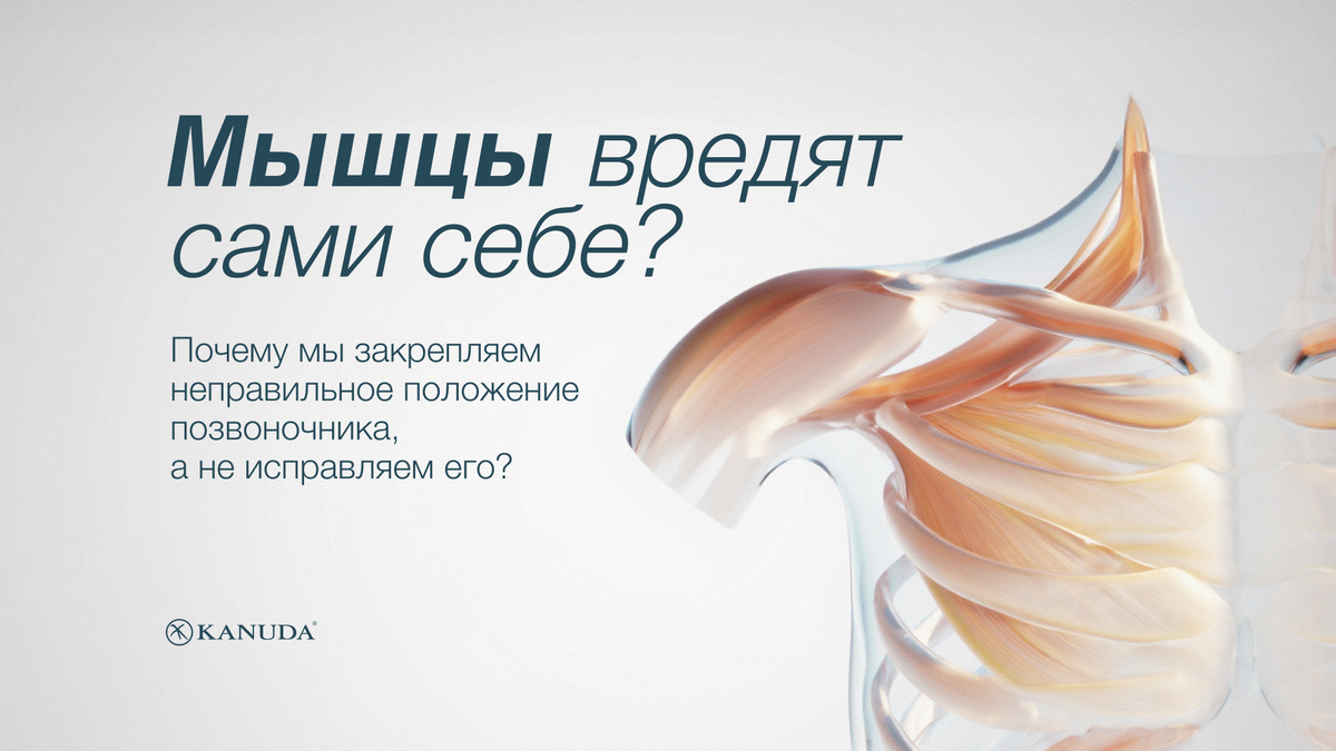 Мышцы вредят сами себе 